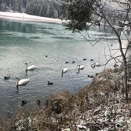 Haus Steinacher Wagrain