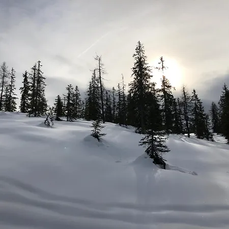 Haus Steinacher Appartamento *