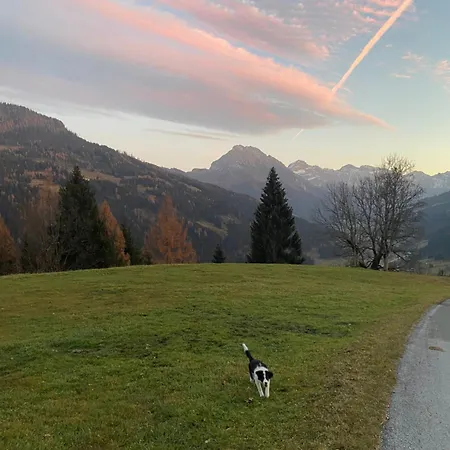 Haus Steinacher * Wagrain