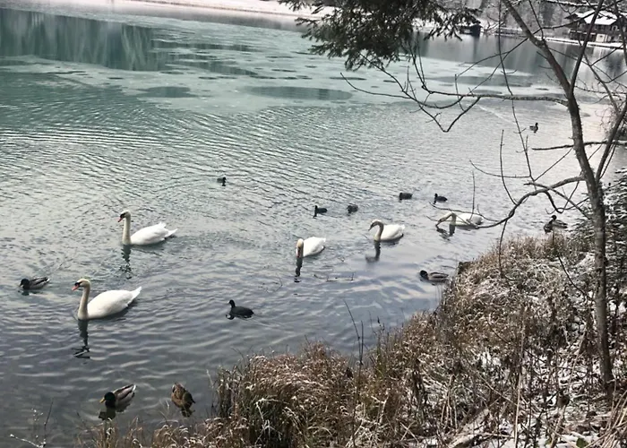 Haus Steinacher Wagrain