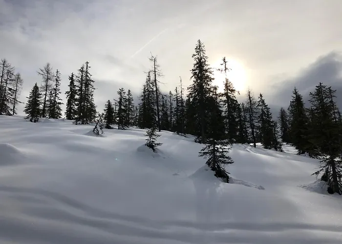 Haus Steinacher Apartment *