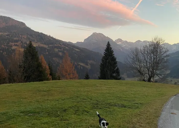 Haus Steinacher * Wagrain