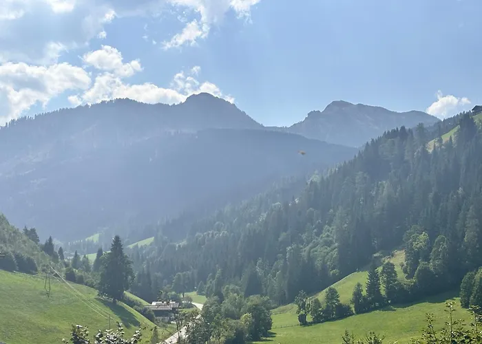 Haus Steinacher Apartman Wagrain